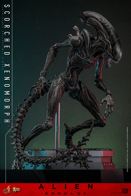 Alien - Romulus: Scorched Xenomorph, 1/6 Figur von Hot Toys
