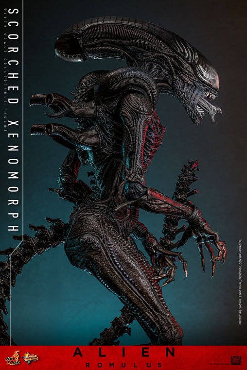 Alien - Romulus: Scorched Xenomorph, 1/6 Figur von Hot Toys