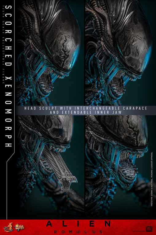 Alien - Romulus: Scorched Xenomorph, 1/6 Figur von Hot Toys
