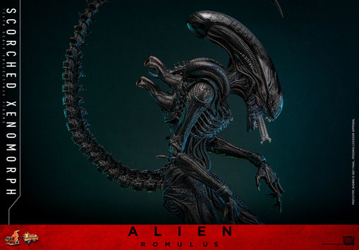 Alien - Romulus: Scorched Xenomorph, 1/6 Figur von Hot Toys