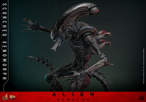 Alien - Romulus: Scorched Xenomorph, 1/6 Figur von Hot Toys
