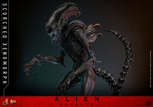 Alien - Romulus: Scorched Xenomorph, 1/6 Figur von Hot Toys