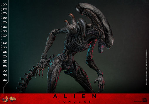 Alien - Romulus: Scorched Xenomorph, 1/6 Figur von Hot Toys