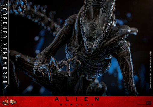 Alien - Romulus: Scorched Xenomorph, 1/6 Figur von Hot Toys