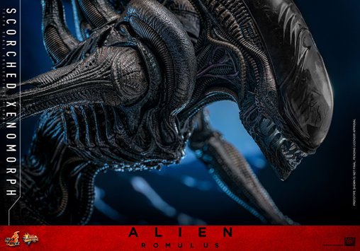 Alien - Romulus: Scorched Xenomorph, 1/6 Figur von Hot Toys