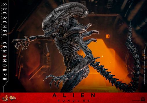 Alien - Romulus: Scorched Xenomorph, 1/6 Figur von Hot Toys