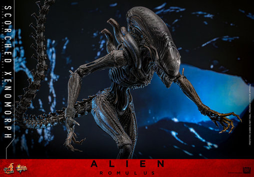 Alien - Romulus: Scorched Xenomorph, 1/6 Figur von Hot Toys