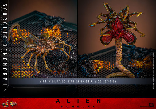 Alien - Romulus: Scorched Xenomorph, 1/6 Figur von Hot Toys