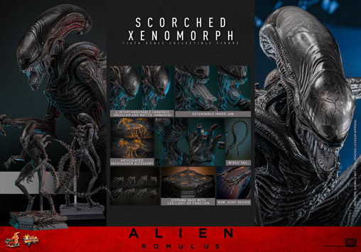 Alien - Romulus: Scorched Xenomorph, 1/6 Figur von Hot Toys