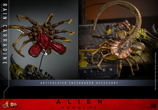 Alien - Romulus: Rain Carradine, 1/6 Figur von Hot Toys