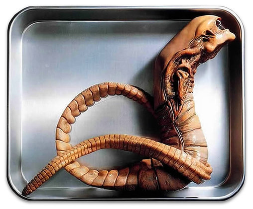 Alien 1: Chest Burster, Modell-Bausatz von Halcyon