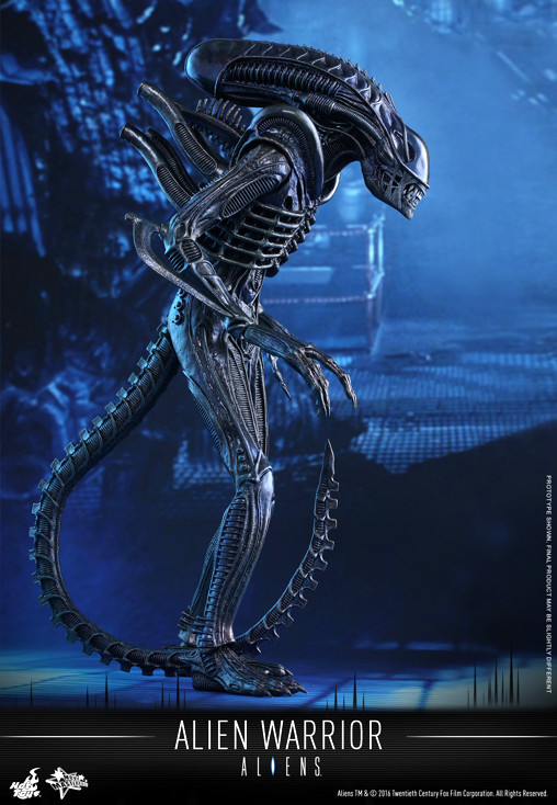 Aliens - Die Rückkehr: Alien Warrior von Hot Toys, weitere Produktansicht 1