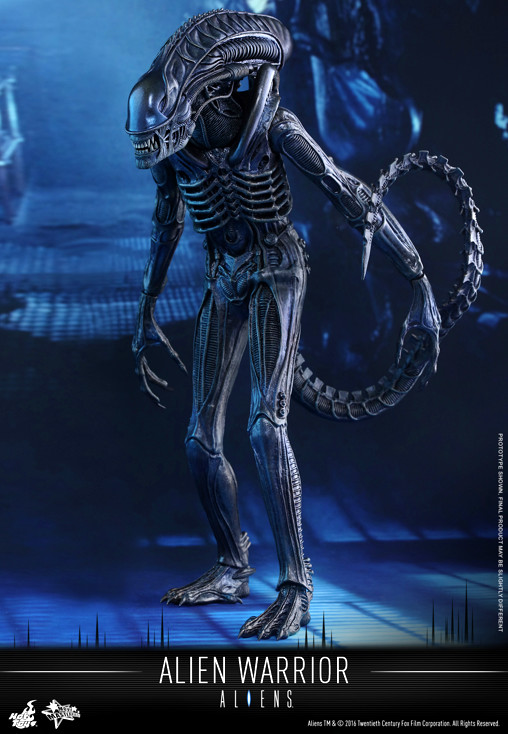 Aliens - Die Rückkehr: Alien Warrior von Hot Toys, weitere Produktansicht 2