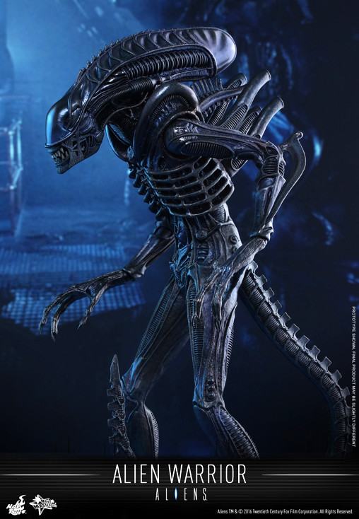 Aliens - Die Rückkehr: Alien Warrior von Hot Toys, weitere Produktansicht 5