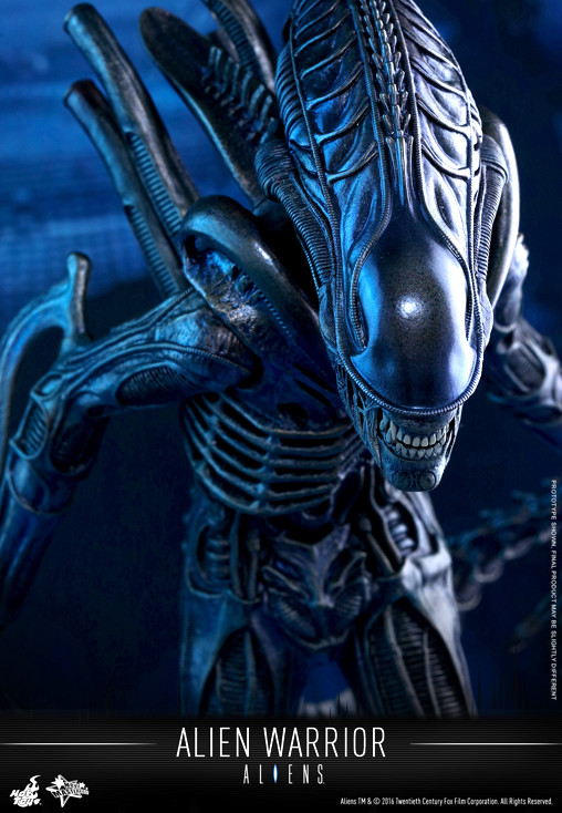Aliens - Die Rückkehr: Alien Warrior von Hot Toys, weitere Produktansicht 7