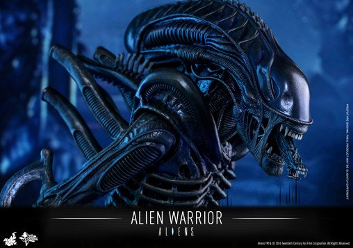 Aliens - Die Rückkehr: Alien Warrior von Hot Toys, weitere Produktansicht 8