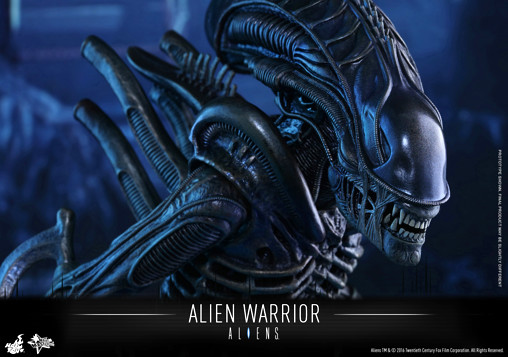 Aliens - Die Rückkehr: Alien Warrior von Hot Toys, weitere Produktansicht 11