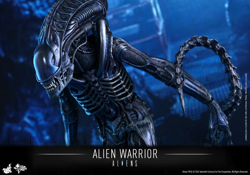 Aliens - Die Rückkehr: Alien Warrior von Hot Toys, weitere Produktansicht 12