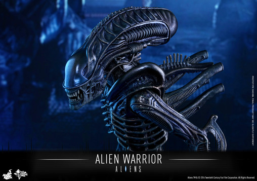 Aliens - Die Rückkehr: Alien Warrior von Hot Toys, weitere Produktansicht 13