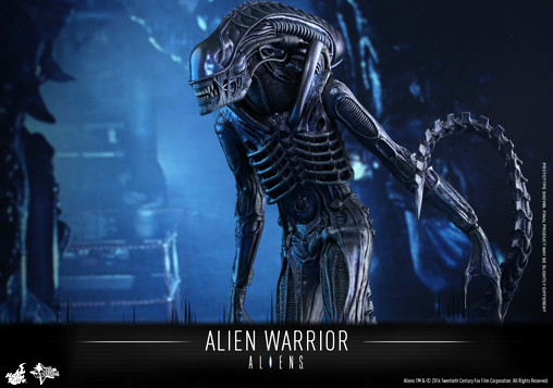 Aliens - Die Rückkehr: Alien Warrior von Hot Toys, weitere Produktansicht 14