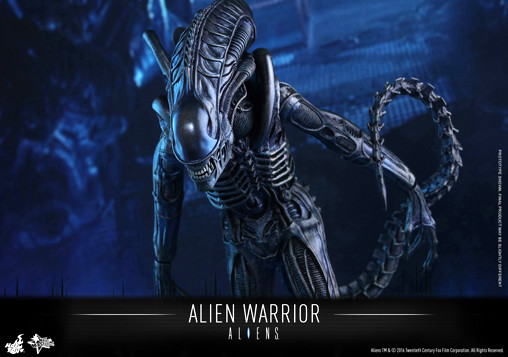 Aliens - Die Rückkehr: Alien Warrior von Hot Toys, weitere Produktansicht 16