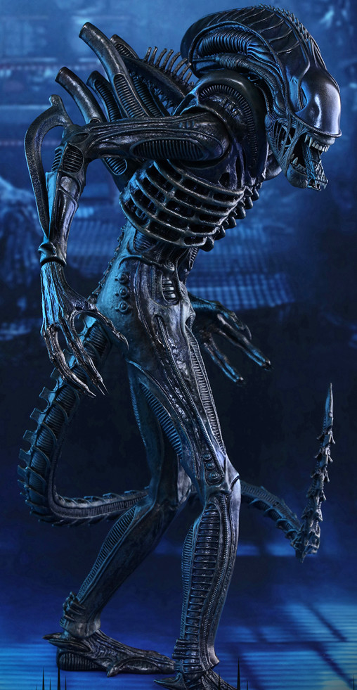 Aliens - Die Rückkehr: Alien Warrior von Hot Toys, weitere Produktansicht 17