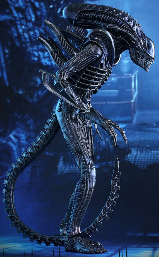 Aliens - Die Rückkehr: Alien Warrior von Hot Toys, weitere Produktansicht 19