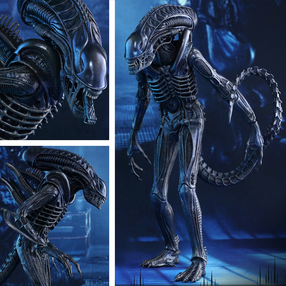 Aliens - Die Rückkehr: Alien Warrior, 1/6 Figur von Hot Toys