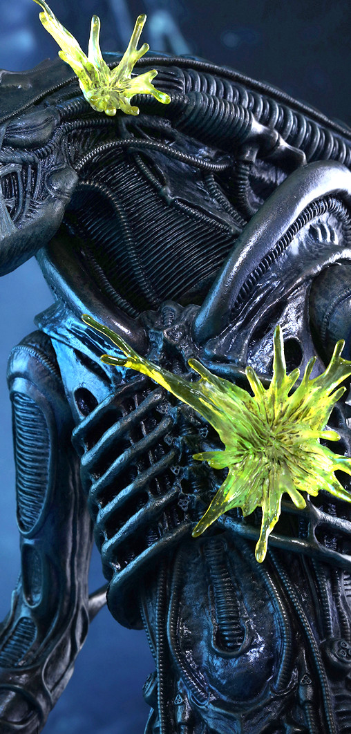 Aliens - Die Rückkehr: Alien Warrior von Hot Toys, weitere Produktansicht 24