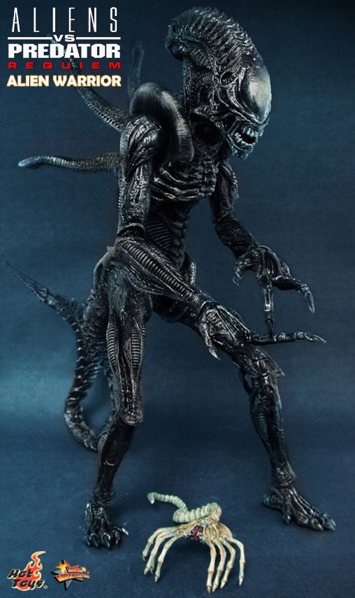 Aliens vs. Predator - Requiem: Alien Warrior mit Face Hugger, 1/6 Figur von Hot Toys