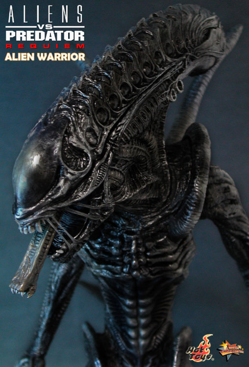 Aliens vs. Predator - Requiem: Alien Warrior mit Face Hugger, 1/6 Figur von Hot Toys