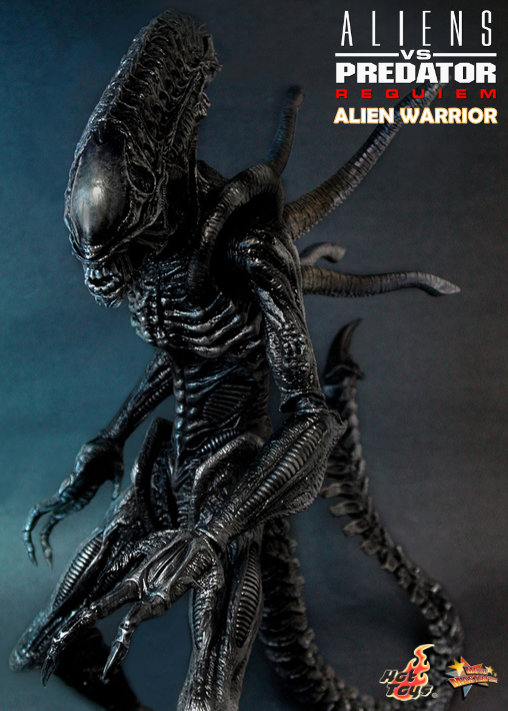 Aliens vs. Predator - Requiem: Alien Warrior mit Face Hugger, 1/6 Figur von Hot Toys