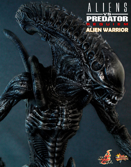 Aliens vs. Predator - Requiem: Alien Warrior mit Face Hugger, 1/6 Figur von Hot Toys