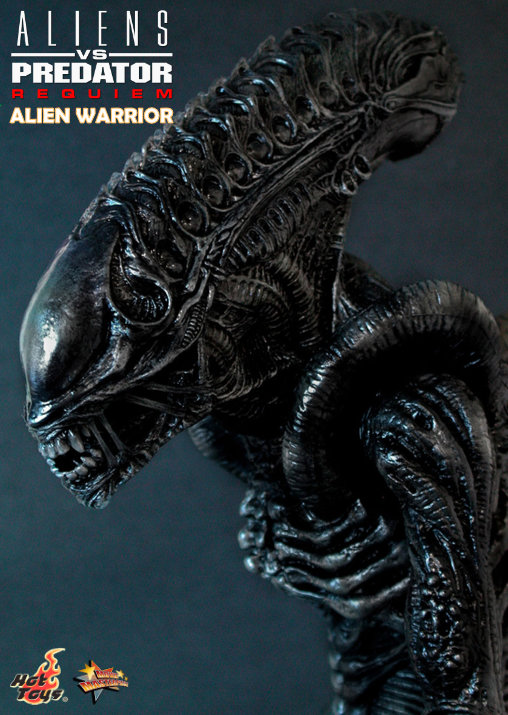 Aliens vs. Predator - Requiem: Alien Warrior mit Face Hugger, 1/6 Figur von Hot Toys