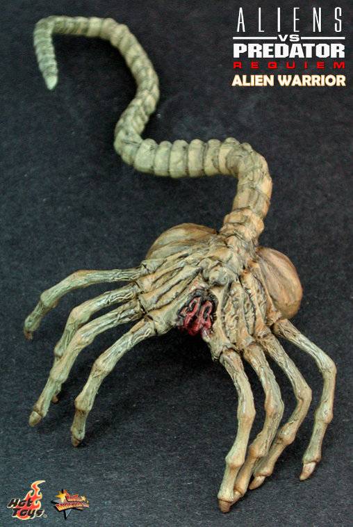 Aliens vs. Predator - Requiem: Alien Warrior mit Face Hugger, 1/6 Figur von Hot Toys