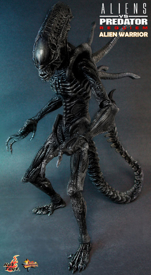 Aliens vs. Predator - Requiem: Alien Warrior mit Face Hugger, 1/6 Figur von Hot Toys