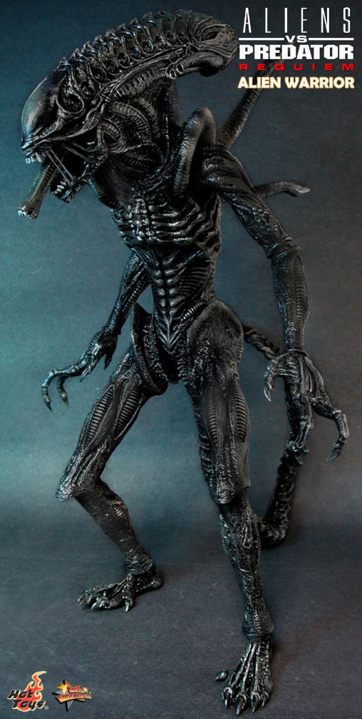 Aliens vs. Predator - Requiem: Alien Warrior mit Face Hugger, 1/6 Figur von Hot Toys