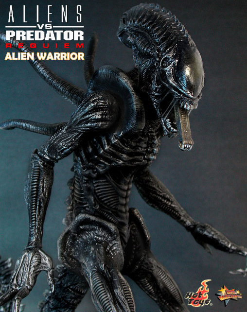 Aliens vs. Predator - Requiem: Alien Warrior mit Face Hugger, 1/6 Figur von Hot Toys