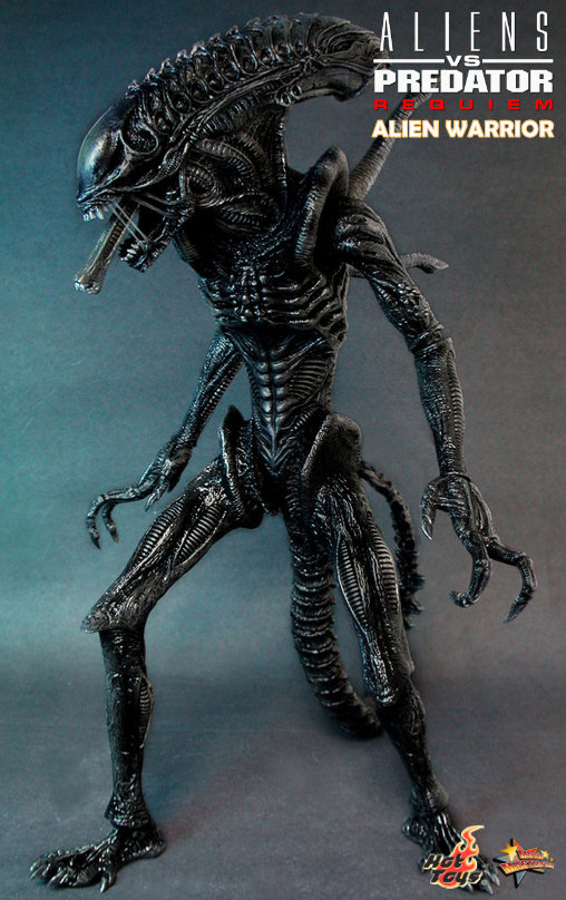 Aliens vs. Predator - Requiem: Alien Warrior mit Face Hugger, 1/6 Figur von Hot Toys