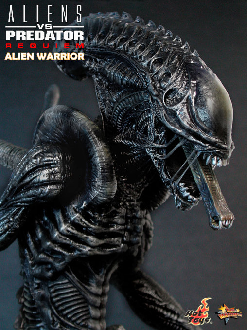 Aliens vs. Predator - Requiem: Alien Warrior mit Face Hugger, 1/6 Figur von Hot Toys