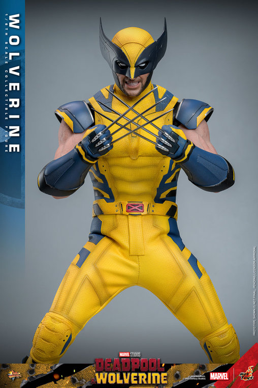 Deadpool und Wolverine: Wolverine, 1/6 Figur von Hot Toys