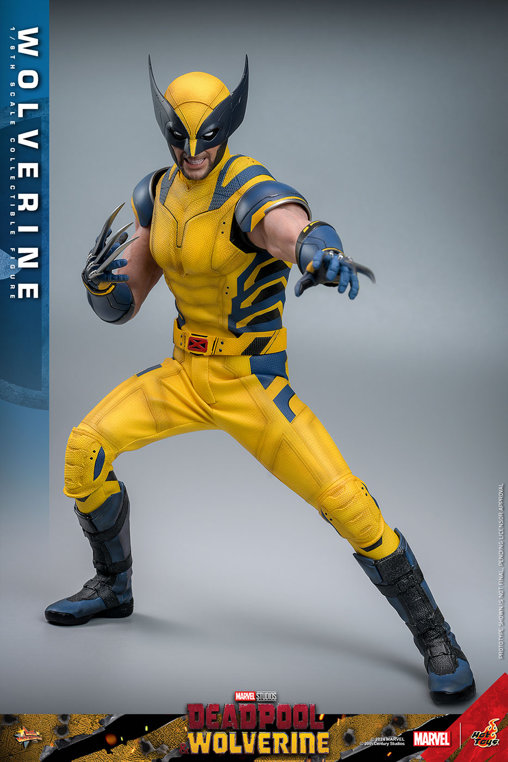 Deadpool und Wolverine: Wolverine, 1/6 Figur von Hot Toys