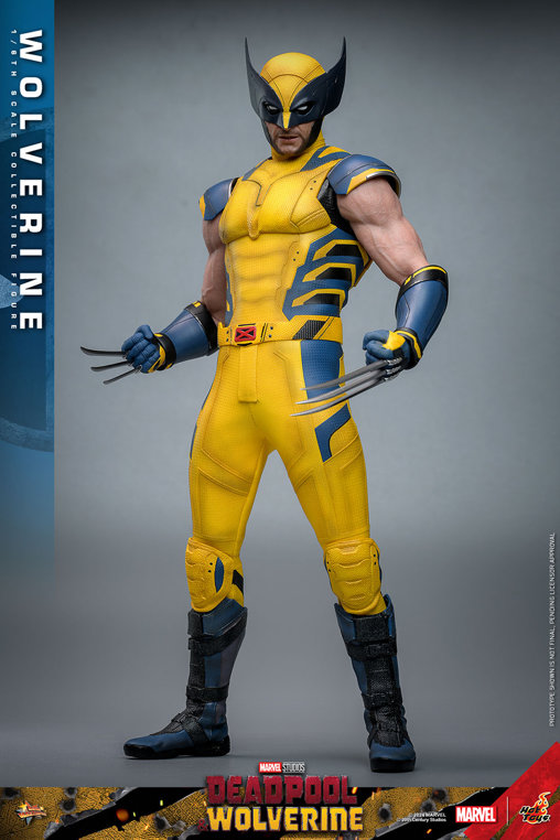 Deadpool und Wolverine: Wolverine, 1/6 Figur von Hot Toys