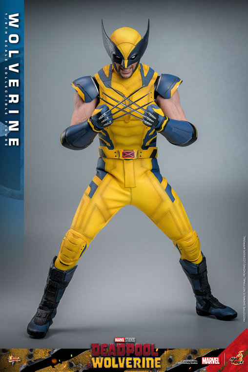 Deadpool und Wolverine: Wolverine, 1/6 Figur von Hot Toys