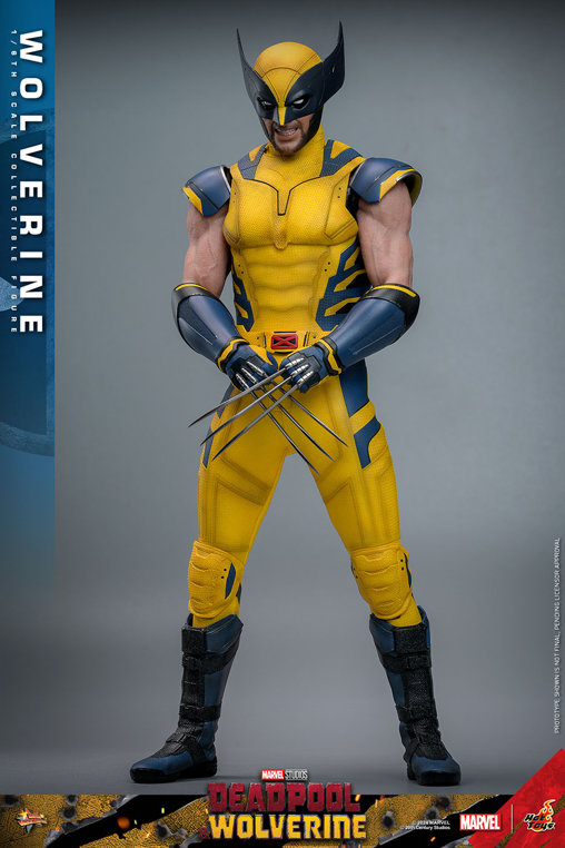 Deadpool und Wolverine: Wolverine, 1/6 Figur von Hot Toys