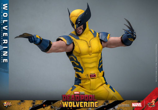 Deadpool und Wolverine: Wolverine, 1/6 Figur von Hot Toys
