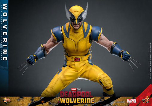 Deadpool und Wolverine: Wolverine, 1/6 Figur von Hot Toys