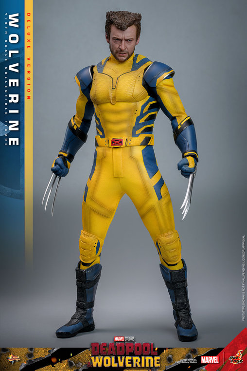 Deadpool und Wolverine: Wolverine - Deluxe, 1/6 Figur von Hot Toys