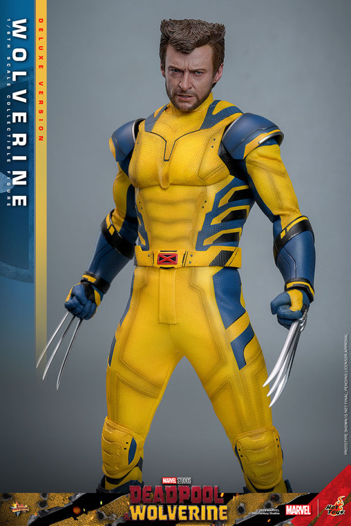 Deadpool und Wolverine: Wolverine - Deluxe, 1/6 Figur von Hot Toys