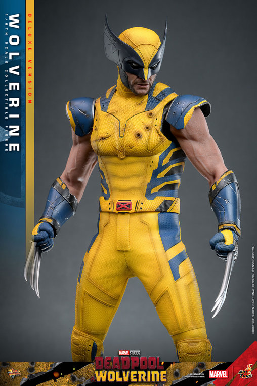 Deadpool und Wolverine: Wolverine - Deluxe, 1/6 Figur von Hot Toys